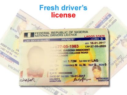 Picture of Fresh driver’s license (5 years)